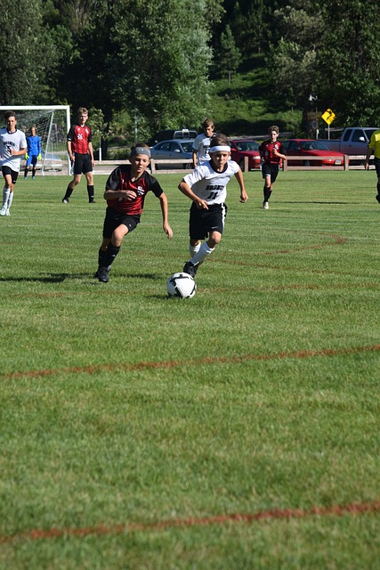 曼柿双雄 曼柿双雄