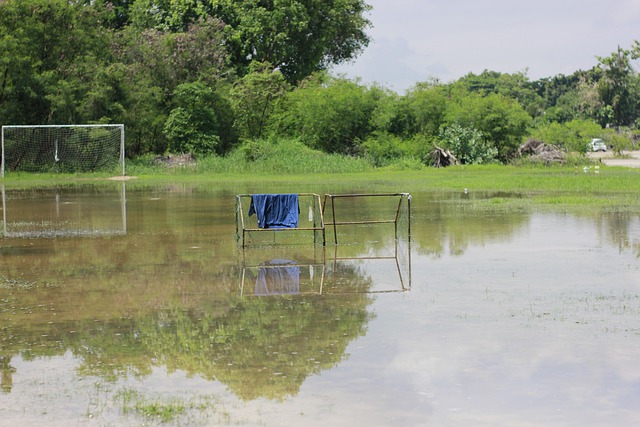 薩比策披 薩比策披