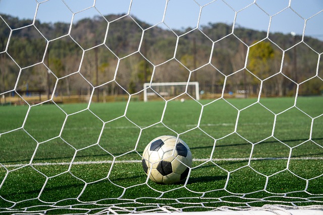 他们不仅是 他们不仅是