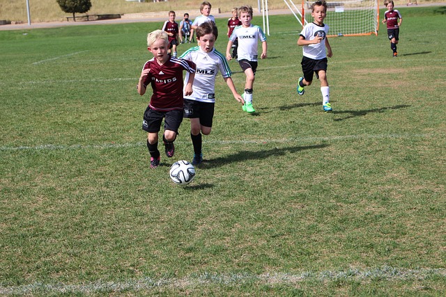 巴塞羅那的 巴塞羅那的