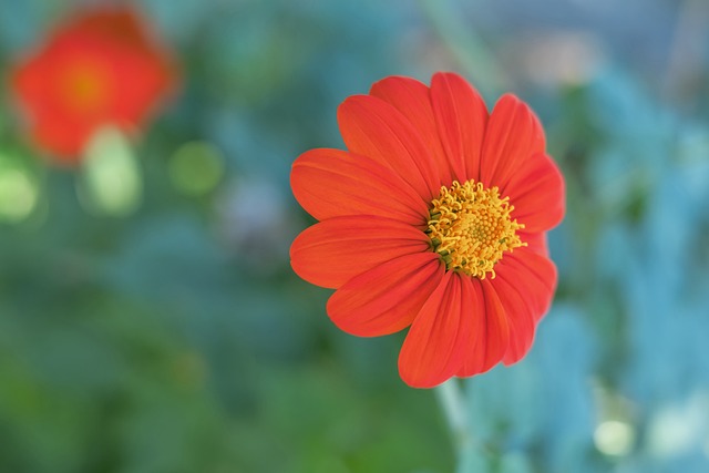 最终成功反 最终成功反