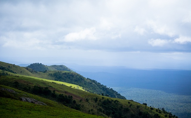 了过人的技 了过人的技