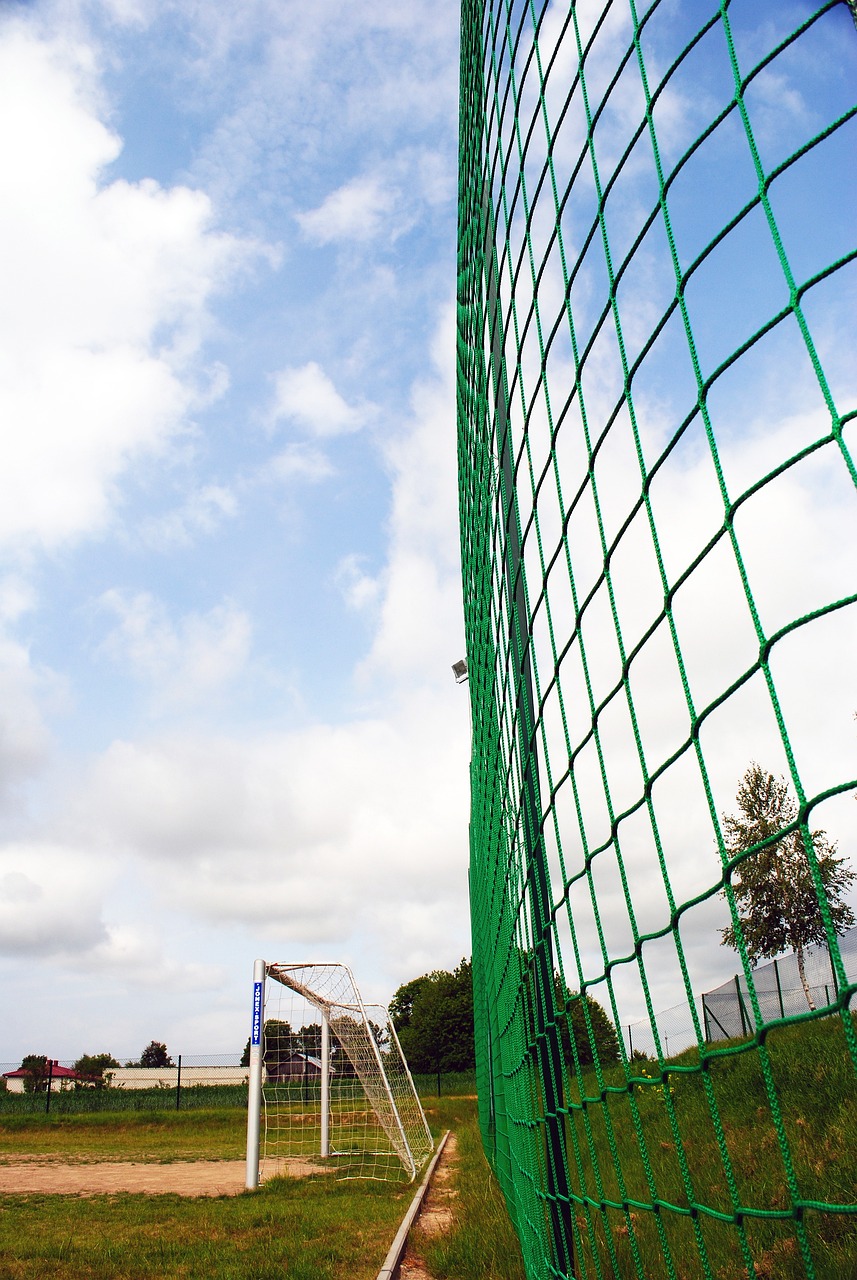 过策略联盟 过策略联盟