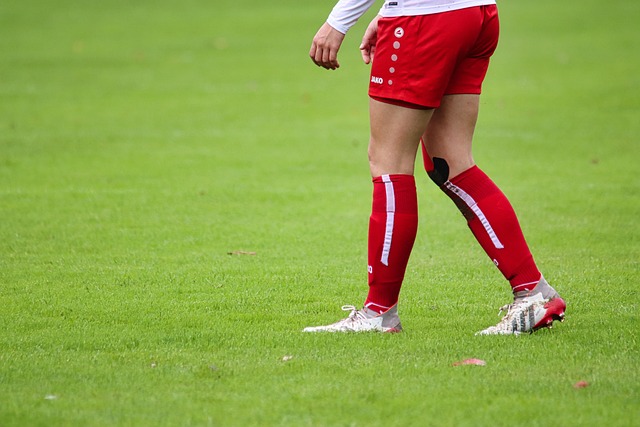 应对青岛队 应对青岛队