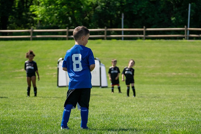 熟的青训体 熟的青训体