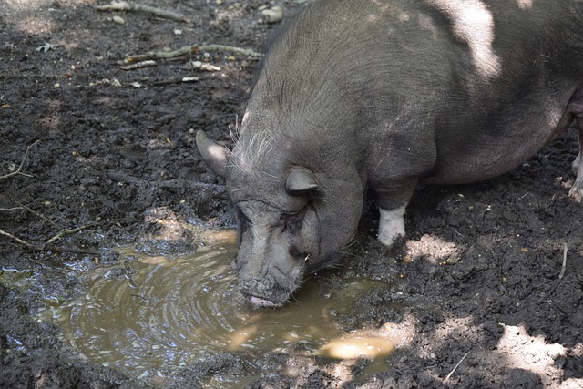 不能太紧张 不能太紧张
