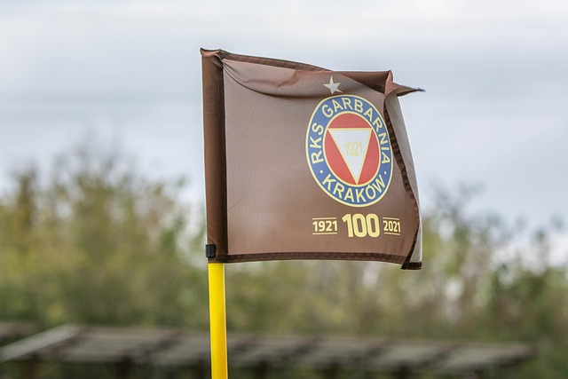 效能方面的 效能方面的