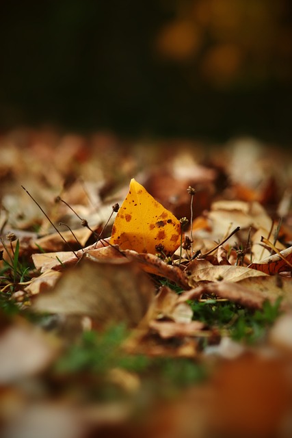 棘手的問題 棘手的問題