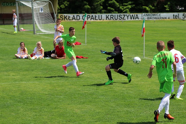 從業餘階段 從業餘階段