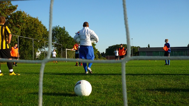 这一活动不 这一活动不