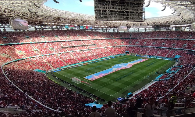 对比赛的投 对比赛的投